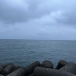 雨×夕まずめなし