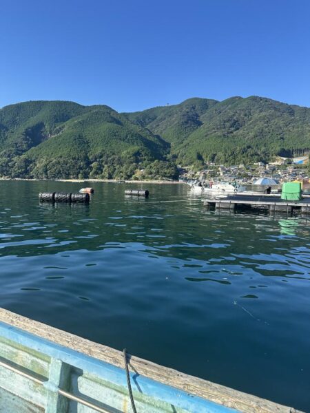 チヌ釣り