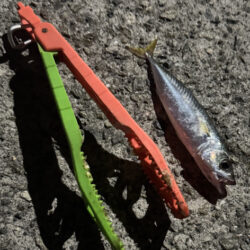 またまた