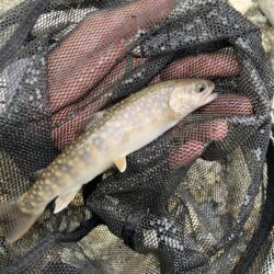 レジャー客と自然破壊者に蹂躙される釣り場