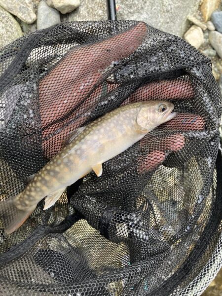 レジャー客と自然破壊者に蹂躙される釣り場