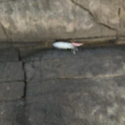 あんまり