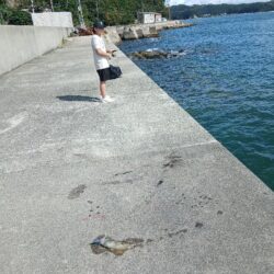 離島エギング!!渋すぎ