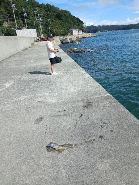 離島エギング!!渋すぎ