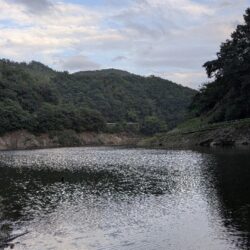 増水してました