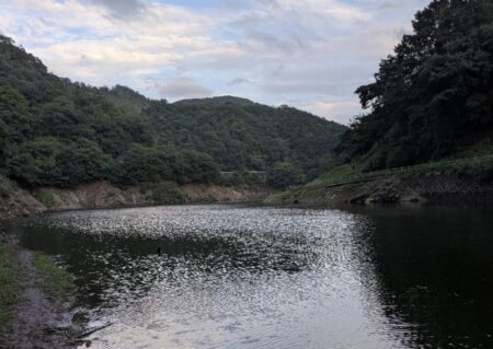 増水してました