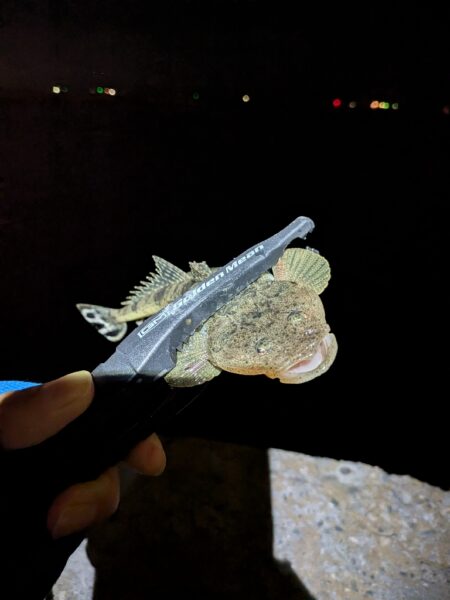 薄っぺらいヤツ