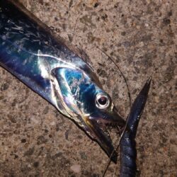引き釣り
