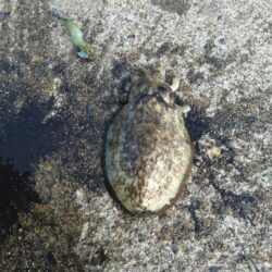 台風から逃げて