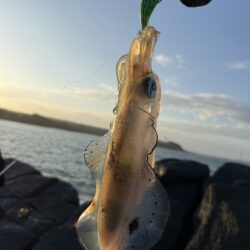 うねり…