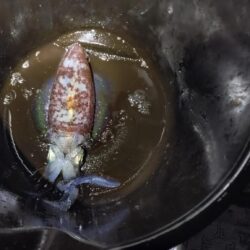 爆風暴風ティップラン