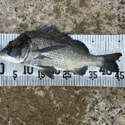イチノ兄弟、釣果！