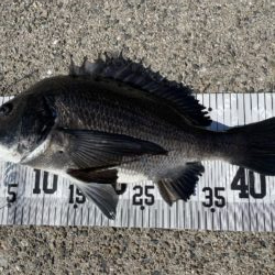 イチノ兄弟、釣果!