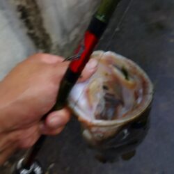 雨パワー