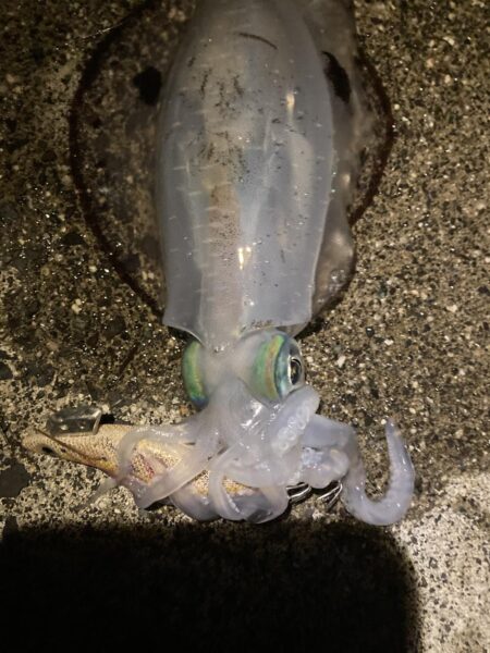 二刀流