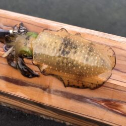 数が伸びずで