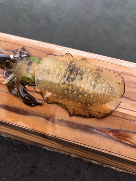 数が伸びずで
