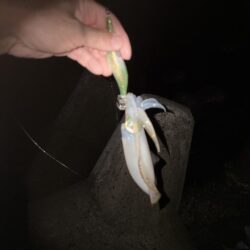 風が・・・