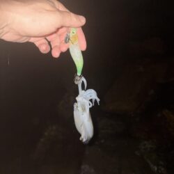まだまだ蒸し暑い!