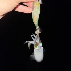 ツ抜けするまで帰れま10