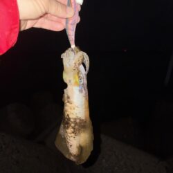 雨でも釣行！