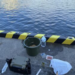 紀州釣り