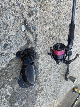 ショアジギングの合間に