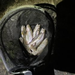 レジャー客と自然破壊者に蹂躙される釣り場
