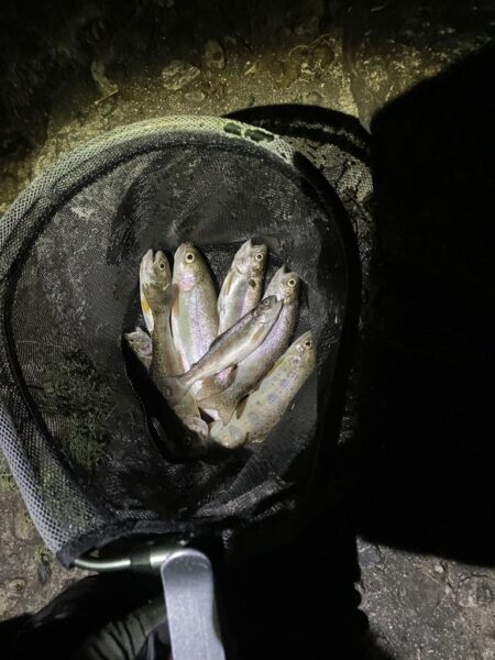 レジャー客と自然破壊者に蹂躙される釣り場