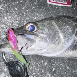 そろそろ秋の気配！