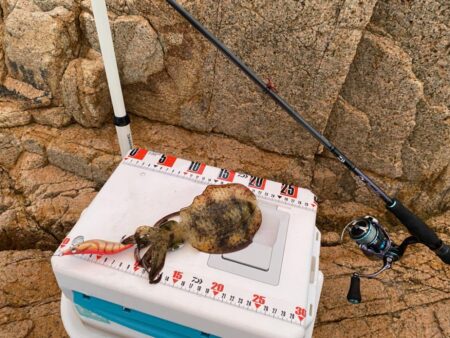 シロギスタ:エギング2戦目は離島の地磯にて