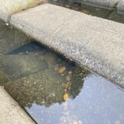 お散歩で釣り