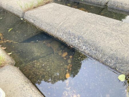 お散歩で釣り
