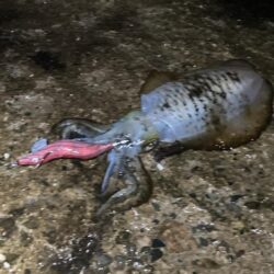 雨にも負けず、風にも負けずに