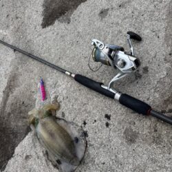 鳥を取って、魚を釣って行くｩ3nd
