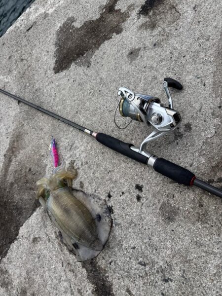 鳥を取って、魚を釣って行くｩ3nd