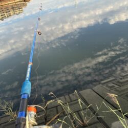 ゴカイでハゼ釣り