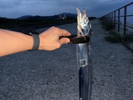タチウオ 爆釣
