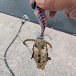 久々の投稿