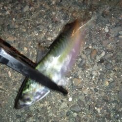 不満が残る…