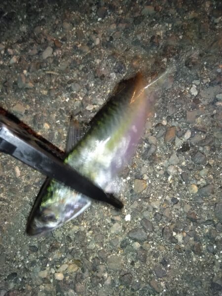 不満が残る…