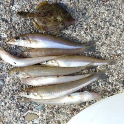 初釣行