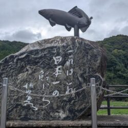 鮎釣り納め
