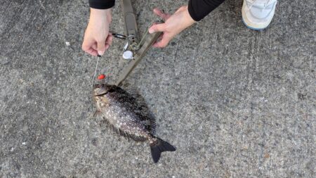 平磯で秋の釣り