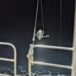ナイトティップラン