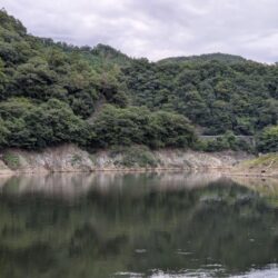 今日は朝活短時間釣行