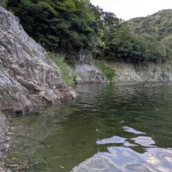 朝活短時間釣行