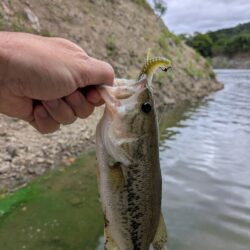 シルバーウィーク朝活短時間釣行