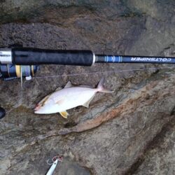 狙いの魚が今年初