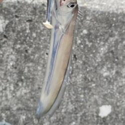 爆風の中の刀狩り